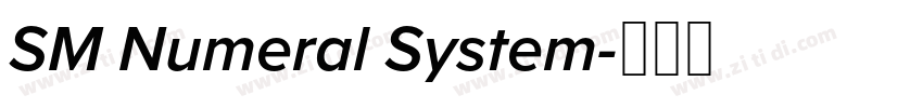 SM Numeral System字体转换 SM Numeral System字体转换